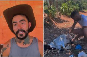 Vídeo antigo mostra que cabra encontrada morta no caso do OVNI já enfrentava grave problema de saúde