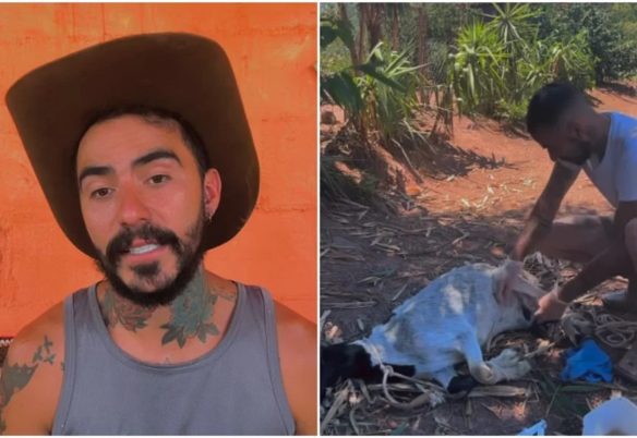 Vídeo antigo mostra que cabra encontrada morta no caso do OVNI já enfrentava grave problema de saúde