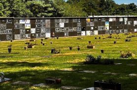 Justiça autoriza exumações emergenciais e determina medidas para evitar colapso funerário em Foz do Iguaçu