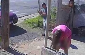 Bebê apressadinho: Parto relâmpago surpreende no Paraná