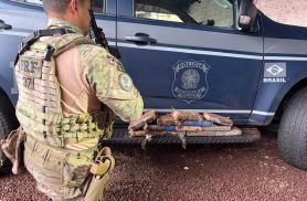 Pai e filha são presos com mais de 12 kg de cocaína em Formosa do Oeste