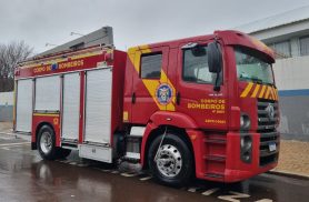Ação dos bombeiros garante segurança de cadela e filhotes durante temporal
