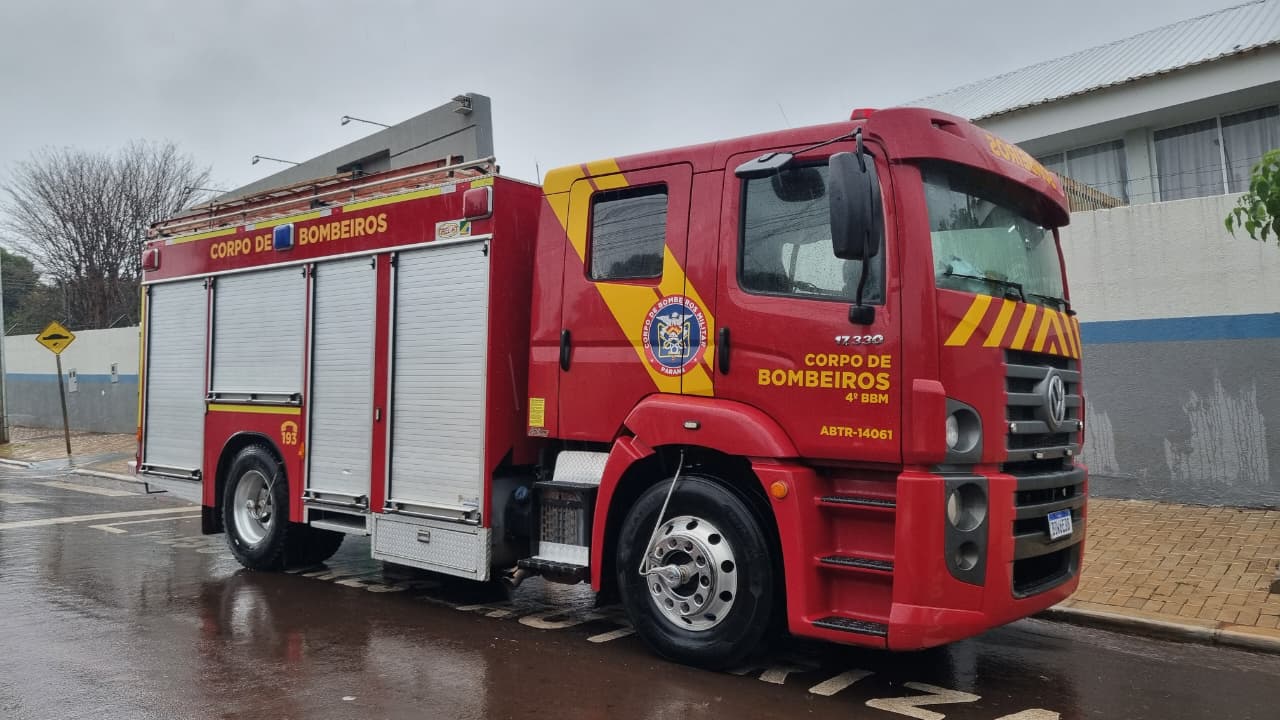 Ação dos bombeiros garante segurança de cadela e filhotes durante temporal