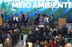 Governo amplia proteção ambiental e prepara recuperação de florestas
