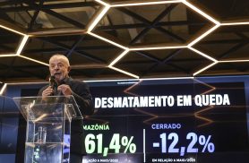 Desmatamento na Amazônia cai 61,4% em maio de 2026