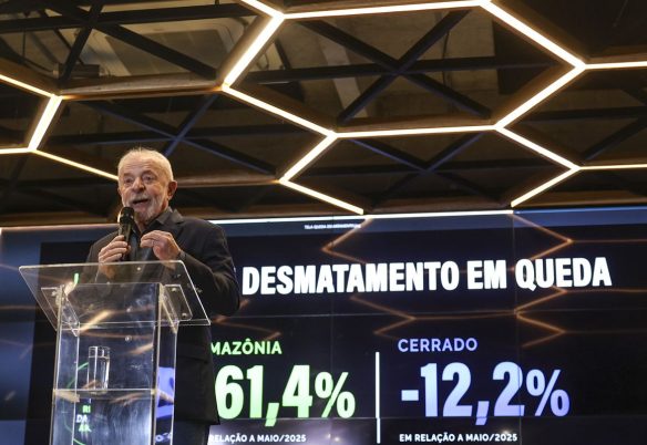 Desmatamento na Amazônia cai 61,4% em maio de 2026