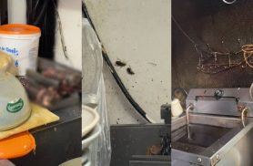 Lanchonete famosa é interditada após Vigilância Sanitária encontrar baratas e alimentos mal armazenados