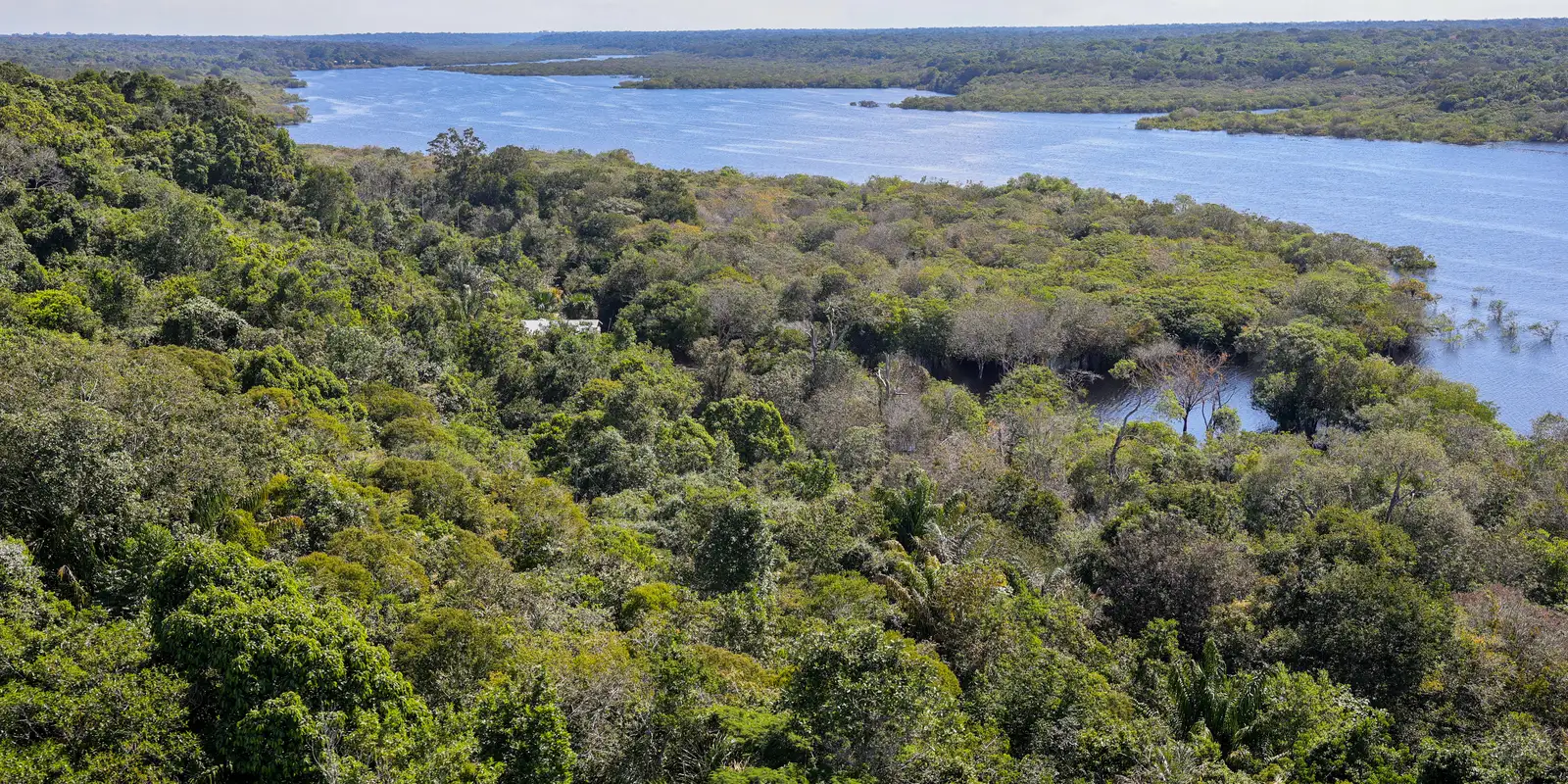 Imagem referente a Fundo Amazônia quadruplica ritmo anual de aprovações desde 2023