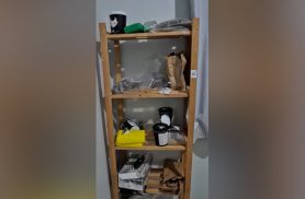 Imagens da PM mostram grande estoque de drogas apreendido durante operação em Cascavel