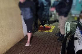 Polícia Militar desmonta esquema de tráfico delivery e apreende drogas