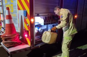 Gambá agressivo invade casa e Bombeiros fazem resgate no Centro de Cascavel