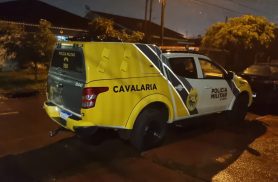 Operação OMNIS causa prejuízo de R$ 200 mil ao tráfico e leva cinco à Central de Flagrantes