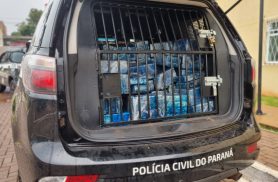 Polícia Civil realiza incineração de drogas com alto valor; Mais de 25 milhões de reais