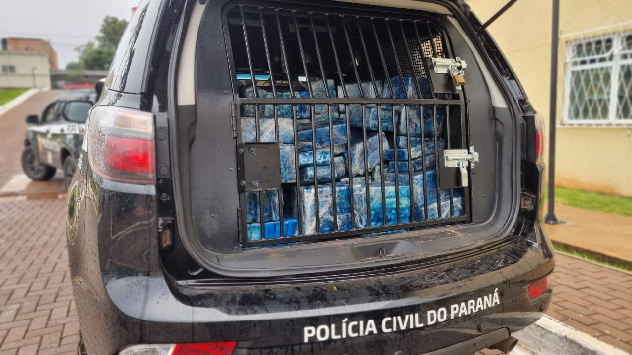 Polícia Civil realiza incineração de drogas com alto valor; Mais de 25 milhões de reais