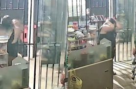 Vídeo mostra momento em que menina de 3 anos é atacada por dois pitbulls e perde a consciência