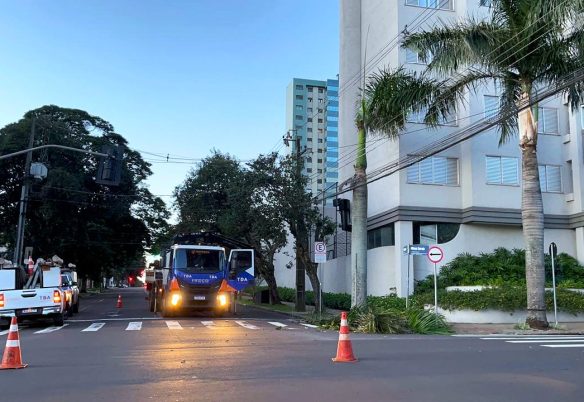 Equipes trabalham para restabelecer energia após queda de galho na Avenida Minas Gerais