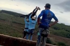 Esqueceram a corda no Rope Jump! Mulher é arremessada de ponte e morre