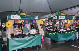Festa Junina movimenta a Feira do Teatro neste domingo em Cascavel