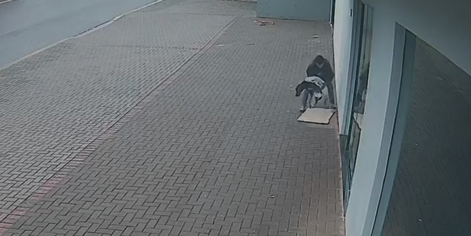 Vídeo mostra abandono cruel de cachorro agonizando em calçada de Cascavel