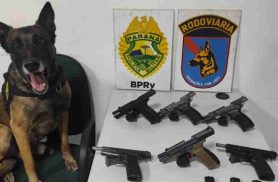 Mulher é presa com seis pistolas e munições em ônibus na PR-151 Mulher é presa com seis pistolas e munições em ônibus na PR-151