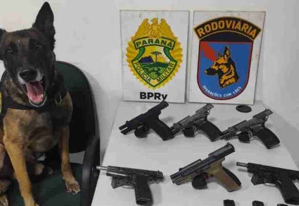 Mulher é presa com seis pistolas e munições em ônibus na PR-151
