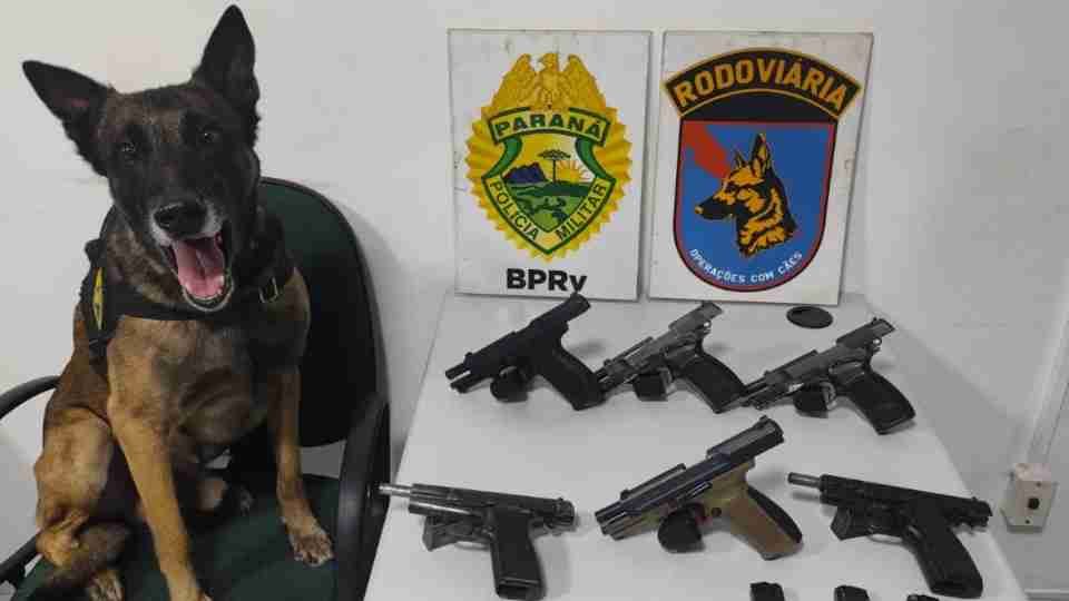 Mulher é presa com seis pistolas e munições em ônibus na PR-151 Imagem referente a Mulher é presa com seis pistolas e munições em ônibus na PR-151