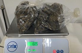 Jovem paraguaio é preso com mais de 1 kg de maconha durante fiscalização na PR-585