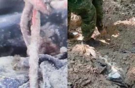 Novos laudos apontam indícios de tortura em vítimas da chacina de Icaraíma no Paraná