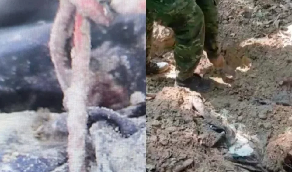 Novos laudos apontam indícios de tortura em vítimas da chacina de Icaraíma no Paraná Imagem referente a Novos laudos apontam indícios de tortura em vítimas da chacina de Icaraíma no Paraná