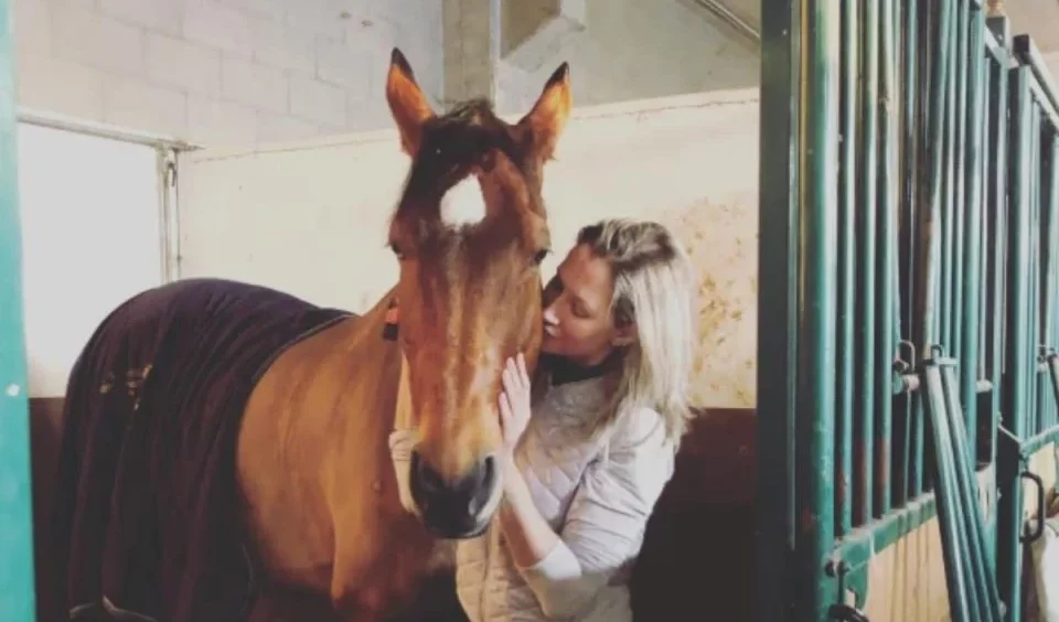 Médica morre após cair de cavalo durante aula de equitação; família doa órgãos e salva cinco vidas Imagem referente a Médica morre após cair de cavalo durante aula de equitação; família doa órgãos e salva cinco vidas