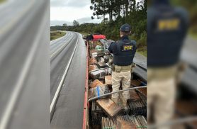 PRF apreende quase 2,5 toneladas de maconha em caminhão na BR-277
