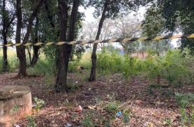 Jovem é encontrada morta e nua em área de mata usada como 'motel a céu aberto'