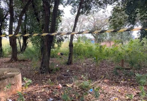 Jovem é encontrada morta e nua em área de mata usada como 'motel a céu aberto'