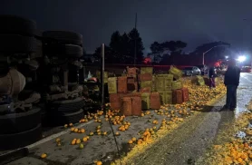 Caminhão tomba, espalha toneladas de ponkan na pista e provoca acidente com sete veículos