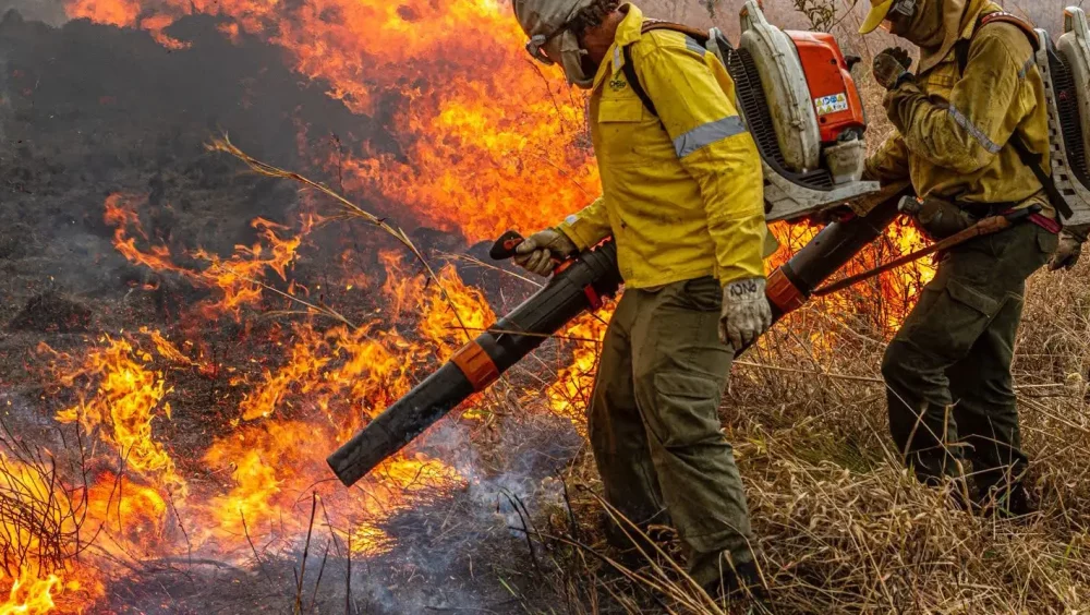 Governo repassa R$ 337 milhões para combate a incêndios e desmatamento Imagem referente a Governo repassa R$ 337 milhões para combate a incêndios e desmatamento