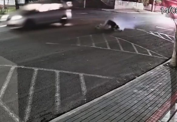 Vídeo mostra perseguição da PM e traficante pulando de carro em movimento