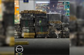 Ação integrada apreende quase 685 kg de maconha em caminhonete na divisa entre Paraná e Santa Catarina