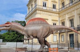 Museu Nacional ganha réplica de dinossauro brasileiro com 15 metros