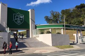 Universidade terá de recuperar área protegida após corte de vegetação e construção em Curitiba