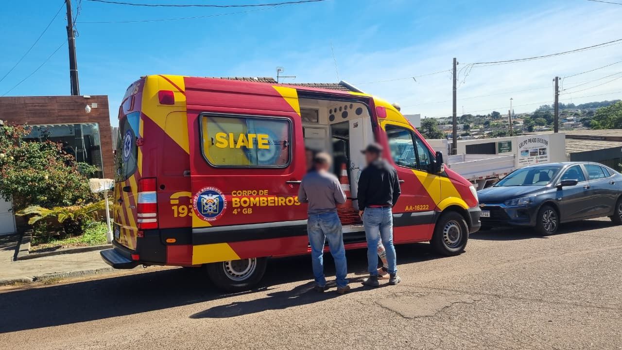 Trabalhador é atacado por pitbull no Bairro Floresta e Siate é acionado