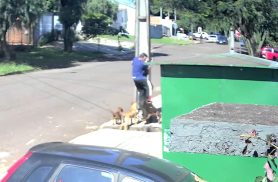 Vídeo mostra homem sendo atacado por cachorros no Bairro Floresta