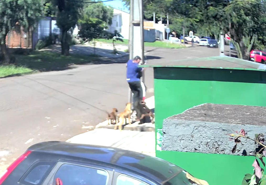 Vídeo mostra homem sendo atacado por cachorros no Bairro Floresta