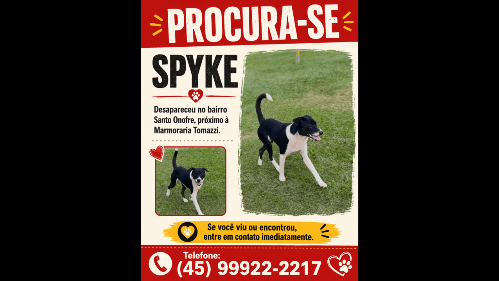 Cachorro Spyke desapareceu no bairro Santo Onofre Imagem referente a Cachorro Spyke desapareceu no bairro Santo Onofre