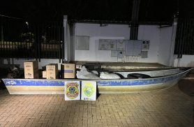BPFRON e Polícia Federal apreendem cigarros, agrotóxicos e prendem suspeito em Guaíra BPFRON e Polícia Federal apreendem cigarros, agrotóxicos e prendem suspeito em Guaíra