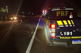 Mulher morre após ser atropelada na BR-369, em Santa Mariana