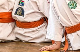 Dia Mundial do karatê celebra disciplina, respeito e uma das artes marciais mais praticadas do planeta