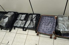 Quatro pessoas são presas com quase 48 quilos de maconha e cigarros contrabandeados em Cascavel Quatro pessoas são presas com quase 48 quilos de maconha e cigarros contrabandeados em Cascavel