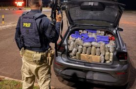 PRF apreende quase meia tonelada de maconha em veículo clonado após fuga na BR-277