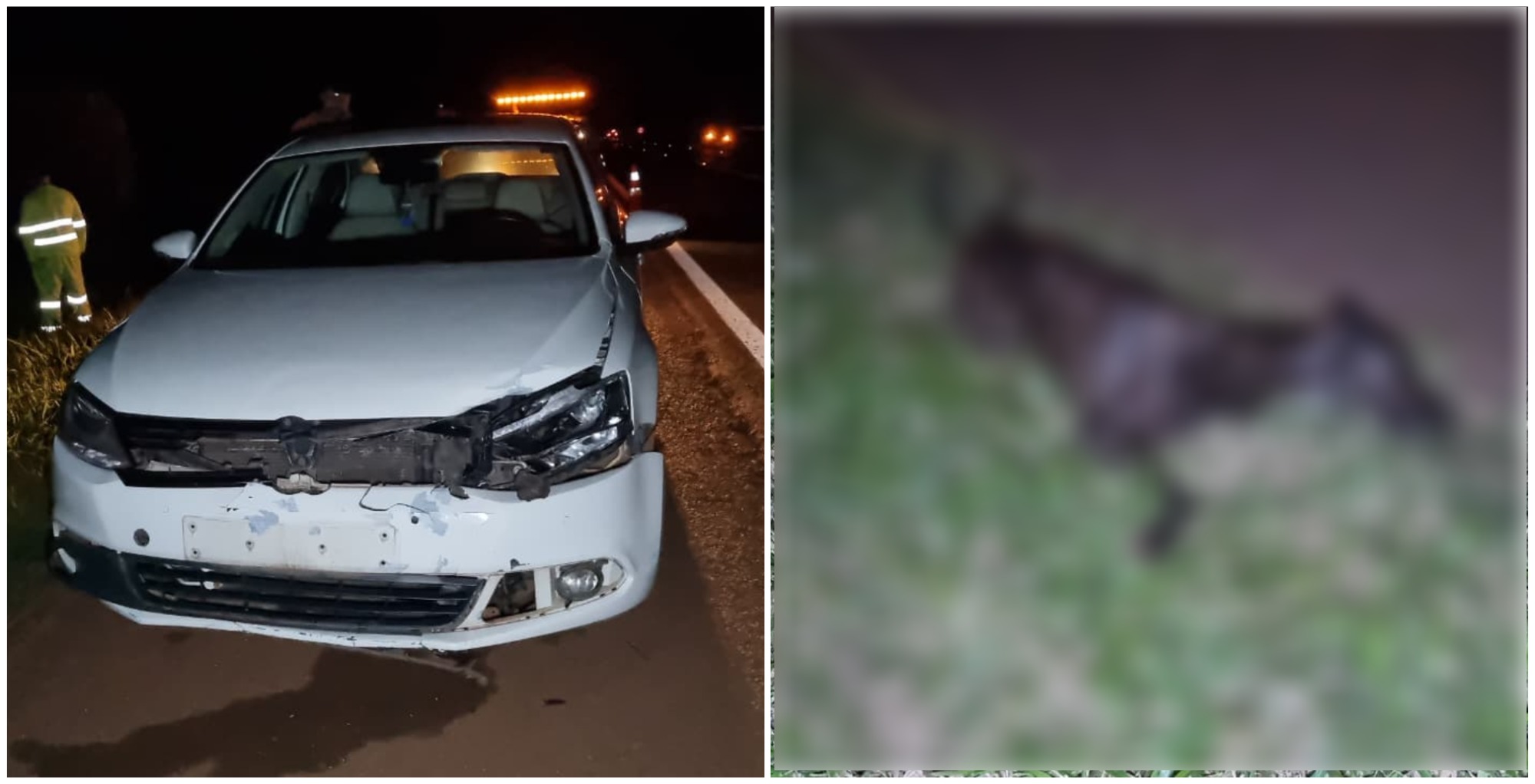 Jetta fica destruído após atropelar cachorro de grande porte na BR-369