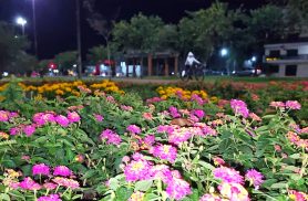 Se ontem até as capivaras se esconderam do frio, hoje o inverno deu uma trégua em Cascavel